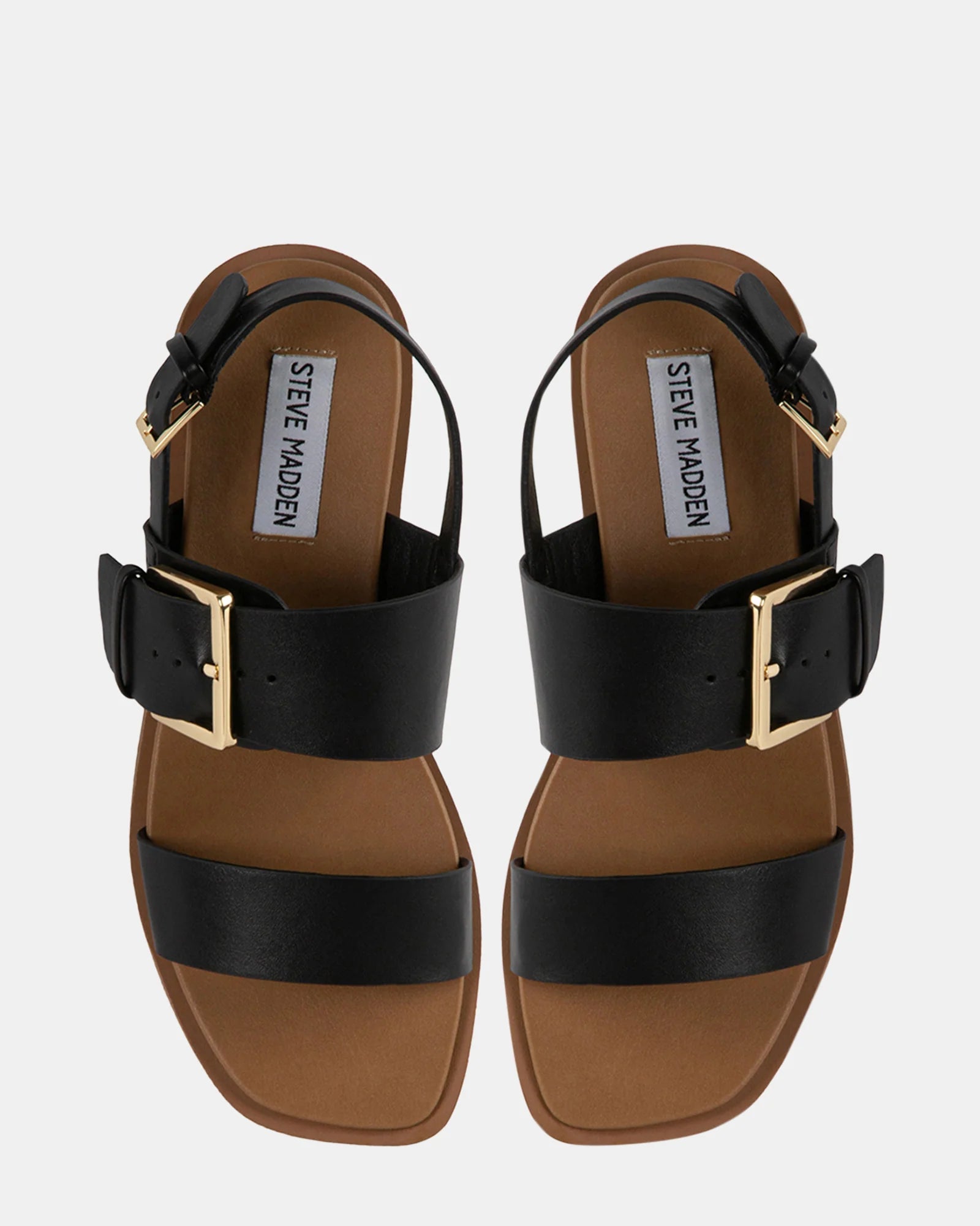 Ceinture Extensible Femme Steven By Steve Madden – Noire – Neuve Avec étiquettes